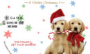 Home for Christmas: A Golden Christmas 3 (2012) R1 Custom Label