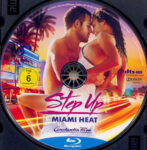 freedvdcover_2016-05-20_573f7b35e462f_step_up_4_-_miami_heat