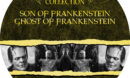 Son of Frankenstein / Ghost of Frankenstein (1939) R1 Custom label