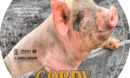 Gordy (1995) R1 Custom Label
