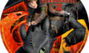 How to Train Your Dragon 2 (2014) R1 Custom label