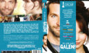 Silver Linings Playbook (2012) R2 Swedish Retail DVD Cover + Custom Label