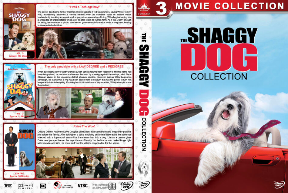 the shaggy dog 2006 dvd