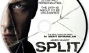Split (2017) R1 Custom Blu-Ray Labels