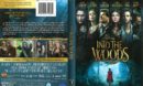 Into the Woods (2015) R1 DVD Cover