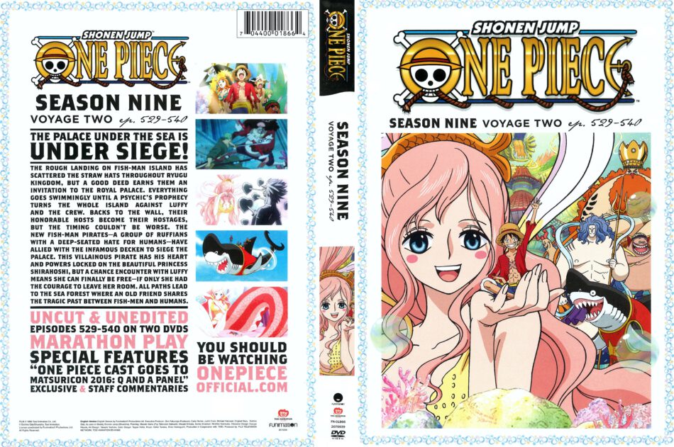One Piece - Season Ten, Voyage Two - DVD