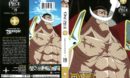One Piece Collection 19 (1999) R1 DVD Cover