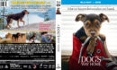 A Dog's Way Home (2019) R1 CUSTOM Blu-Ray Cover