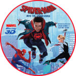 2019-03-25_5c994e36d78fd_SPIDERMANINTOTHESPIDERVERSE3DLABELCUSTOM