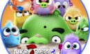 The Angry Birds Movie 2 (2019) R2 Custom DVD Label