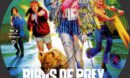Birds Of Prey - Harley Quinn Custom Blu-Ray Label