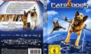 Cats & Dogs 2-Die Rache der Kitty Kahlohr R2 DE DVD Cover