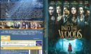 Into The Woods (2015) R2 DE DVD Covers