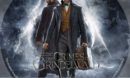 Fantastic Beasts: The Crimes of Grindelwald R1 Custom DVD Label