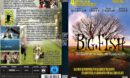 Big Fish R2 DE DVD Cover