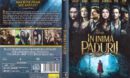 Into the Woods (2014) RO DVD cover