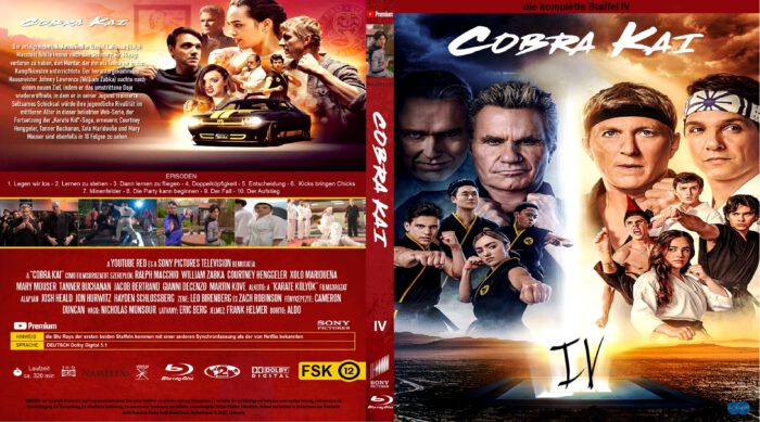  Cobra Kai - Season 1 , 2 , 3 , 4 & 5 [DVD 4-Pack] : Movies & TV