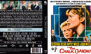 2024-07-21_669d78aa386d9_TheChalkGardenBlu-ray-1964