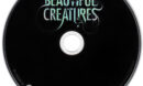 Beautiful Creatures (2013) R4 DVD Label