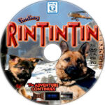 finding rintintin cd cover