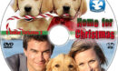 Home for Christmas: A Golden Christmas 3 (2012) R1 Custom DVD label