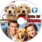 home for christmas a golden christmas 3 dvd label