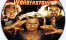 The_Incredible_Burt_Wonderstone_2013-cd-dvd-label