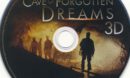 Cave of Forgotten Dreams (2010) WS R1 3D