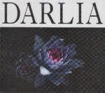 Darlia – Petals – 1Front