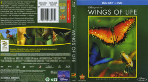 disneynature wings of life