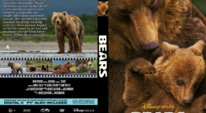 Bears dvd cover