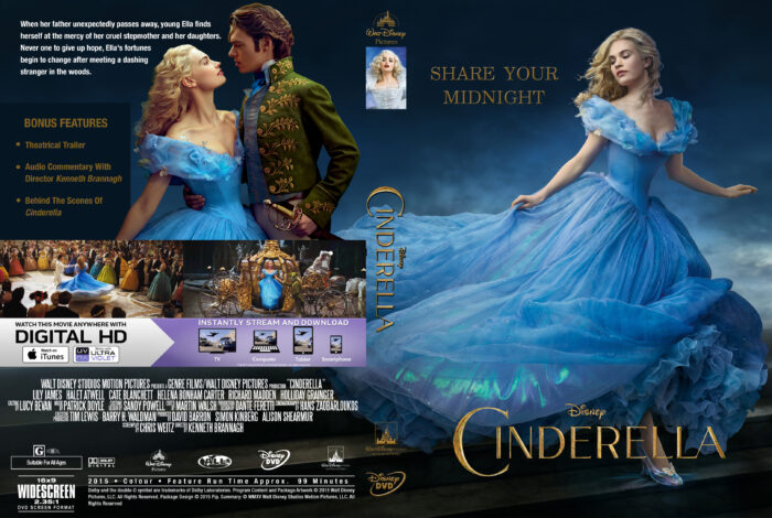 Cinderella custom cover