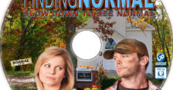 Finding Normal cd cover