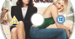 In Her Shoes dvd label