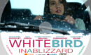 White Bird in a Blizzard dvd disc