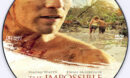The Impossible (2012) R0 Custom DVD Label